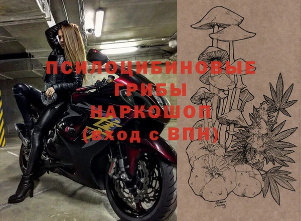 мет Белокуриха