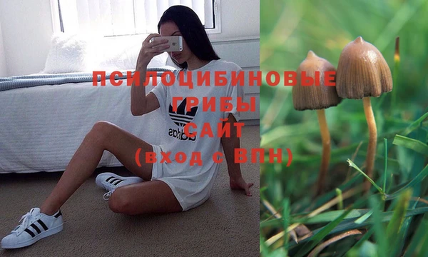марихуана Беломорск