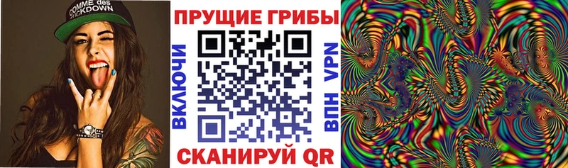 наркошоп  Курганинск  Псилоцибиновые грибы MAGIC MUSHROOMS 